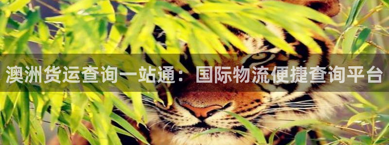 公海gh555000线路检测