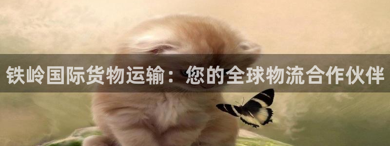 公海赌赌船官网欢迎您