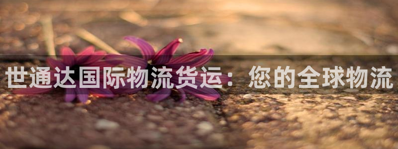 公海赌船平台网址