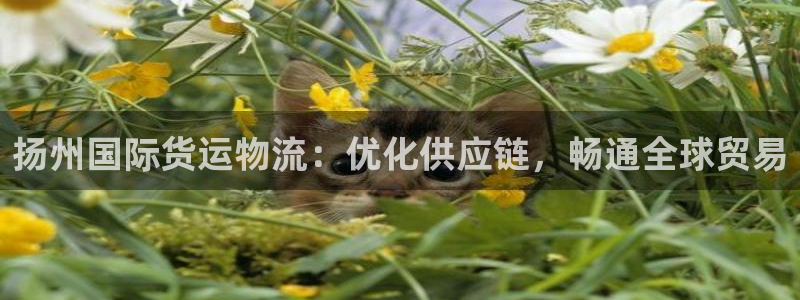 欢迎您来到公海欢迎您来到赌船
