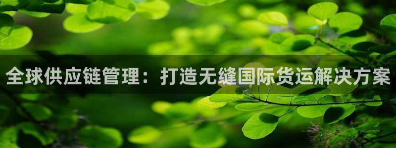 公海赌赌船官网登录网址
