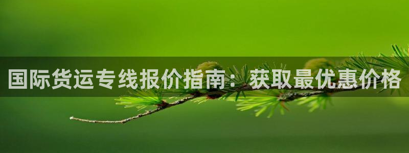 公海555000官网