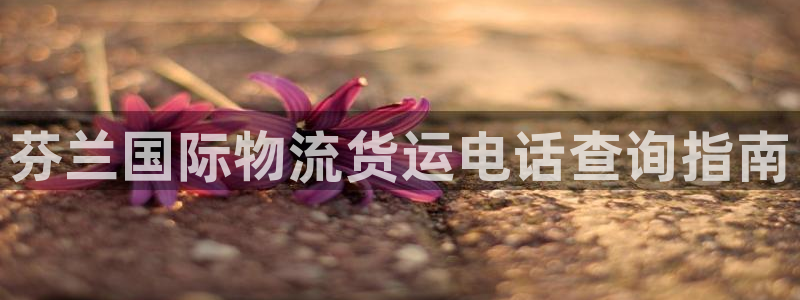公海555000官网