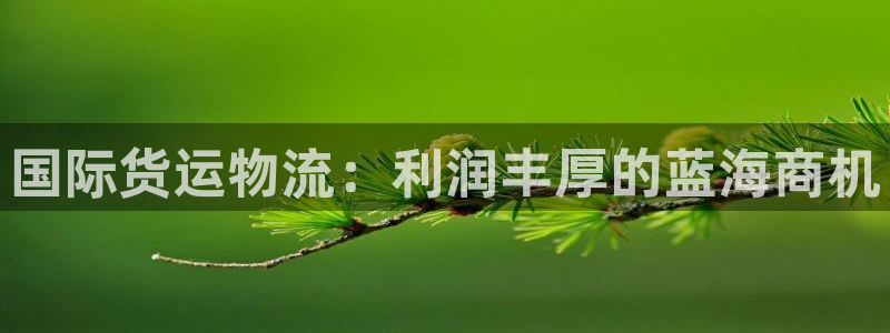 公海赌赌船登录网站