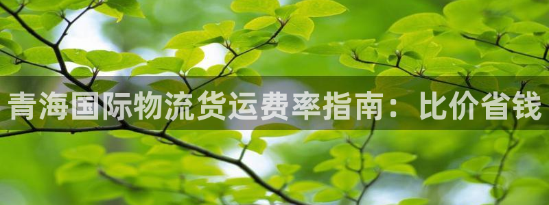 公海赌赌船贵宾会员检测路线