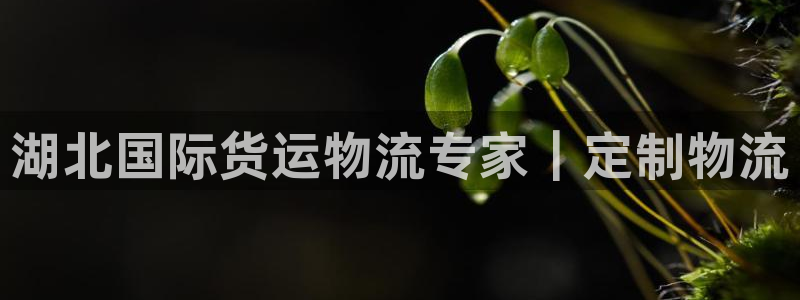 公海赌船平台网址