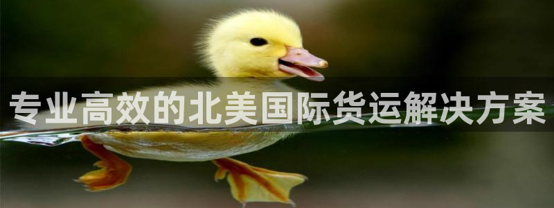 公海gh555000线路检测