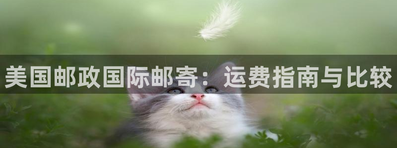 公海gh555000aa线路检测中心