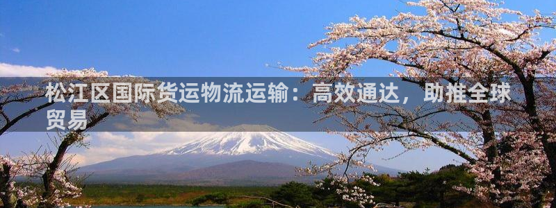 公海贵宾会员检测中心